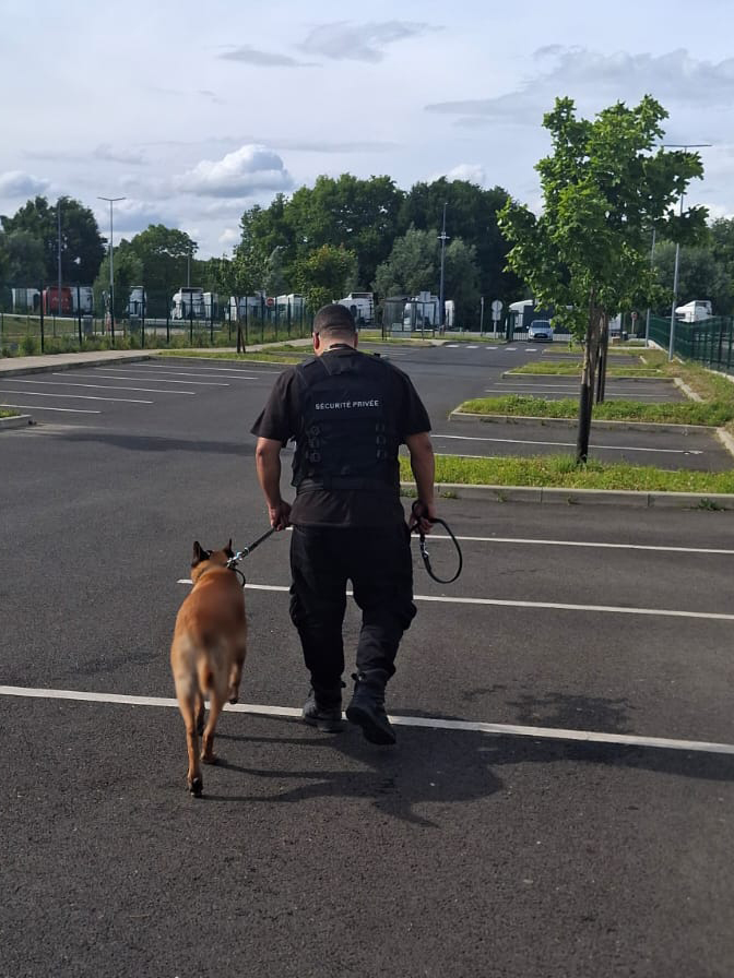 Surveillance Humaine agent cynophile